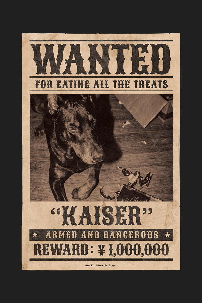 CASE 01 犬（ドーベルマン）WANTEDポスターデザイン完成例