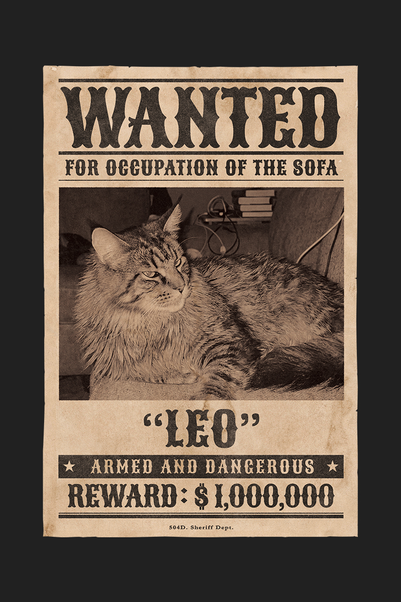 CASE 02 猫（メインクーン）WANTEDポスターデザイン完成例