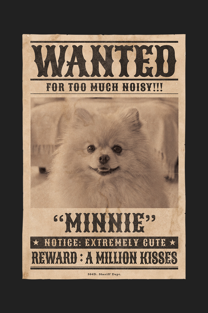 CASE 03 犬（ポメラニアン）WANTEDポスターデザイン完成例