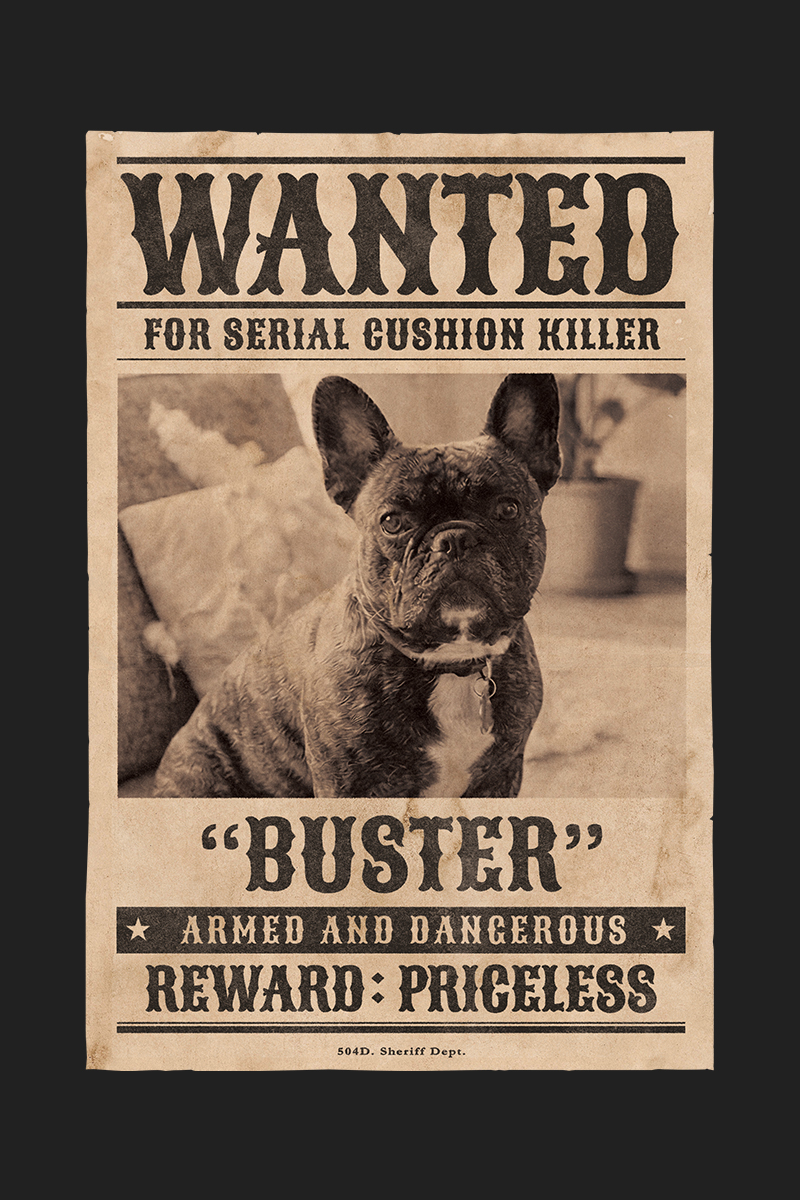 CASE 04 犬（フレンチブルドッグ）WANTEDポスターデザイン完成例