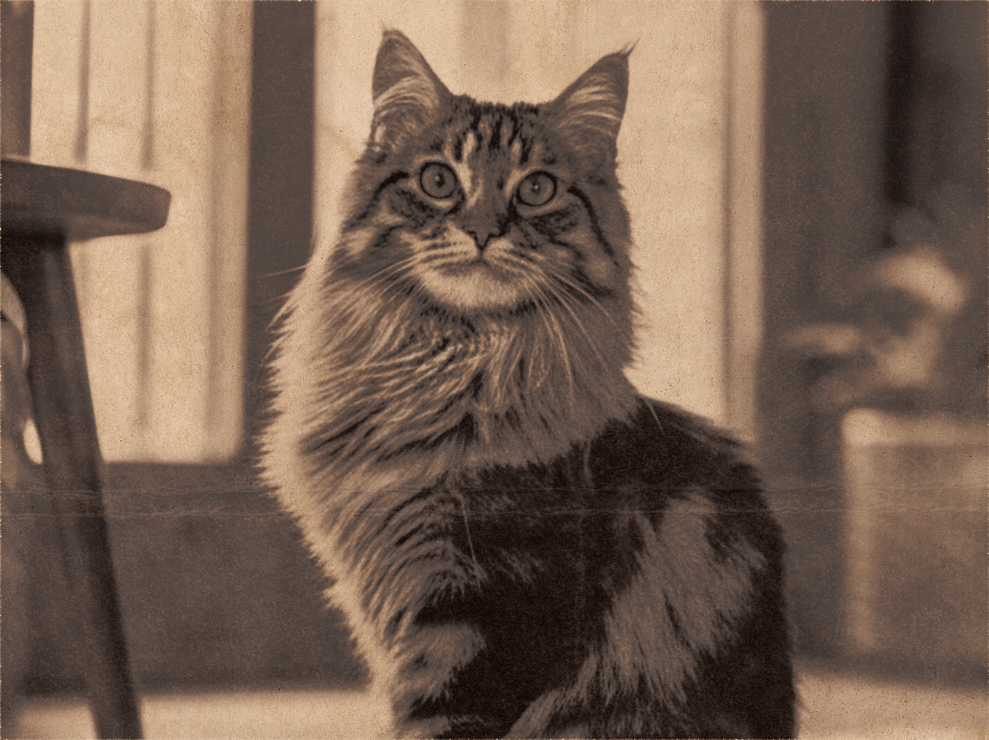 WANTEDポスター 被写体写真